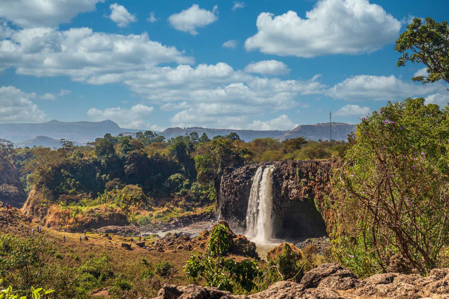 Ethiopia Tour Packages & Holiday Packages