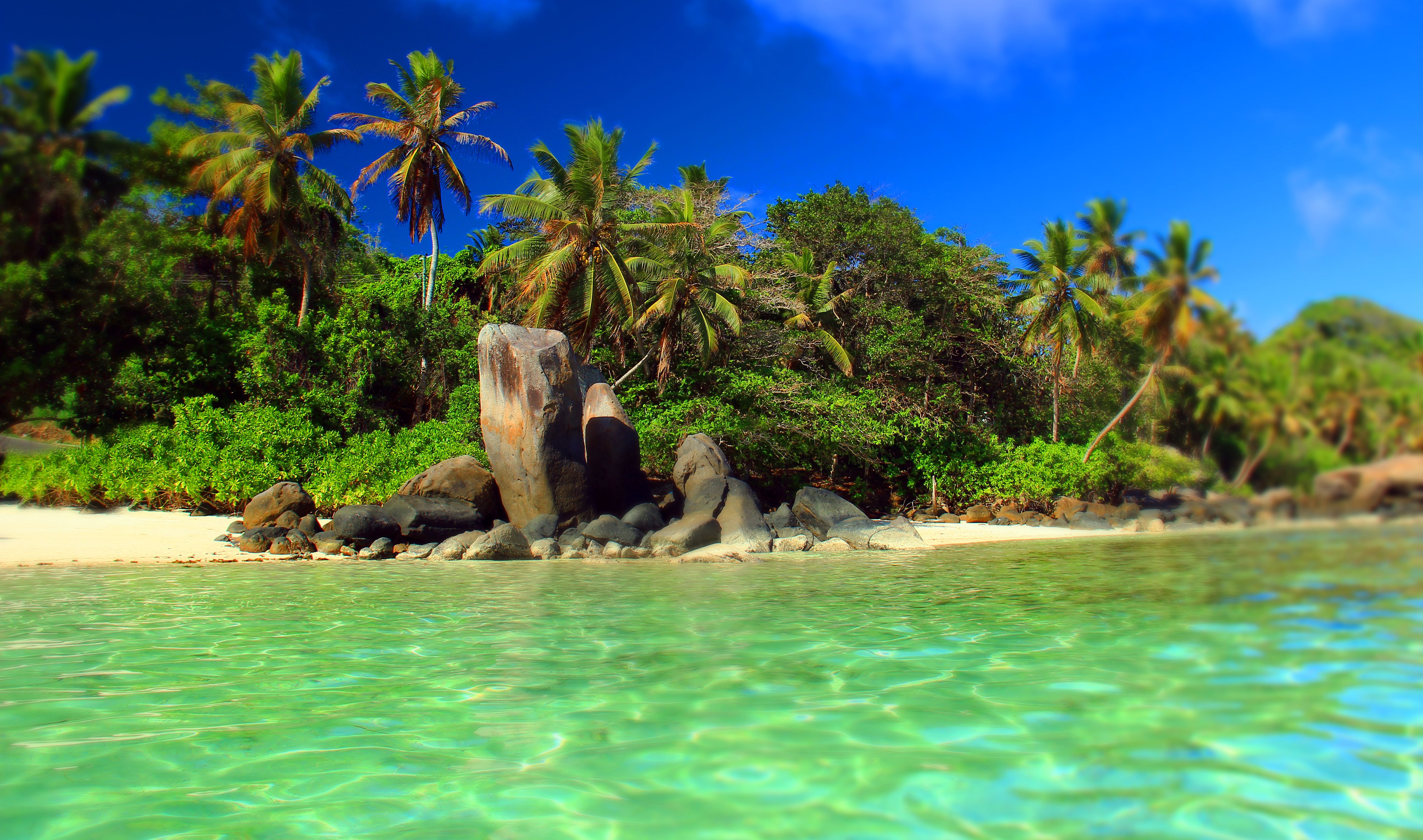 Seychelles Tour Packages & Holiday Packages