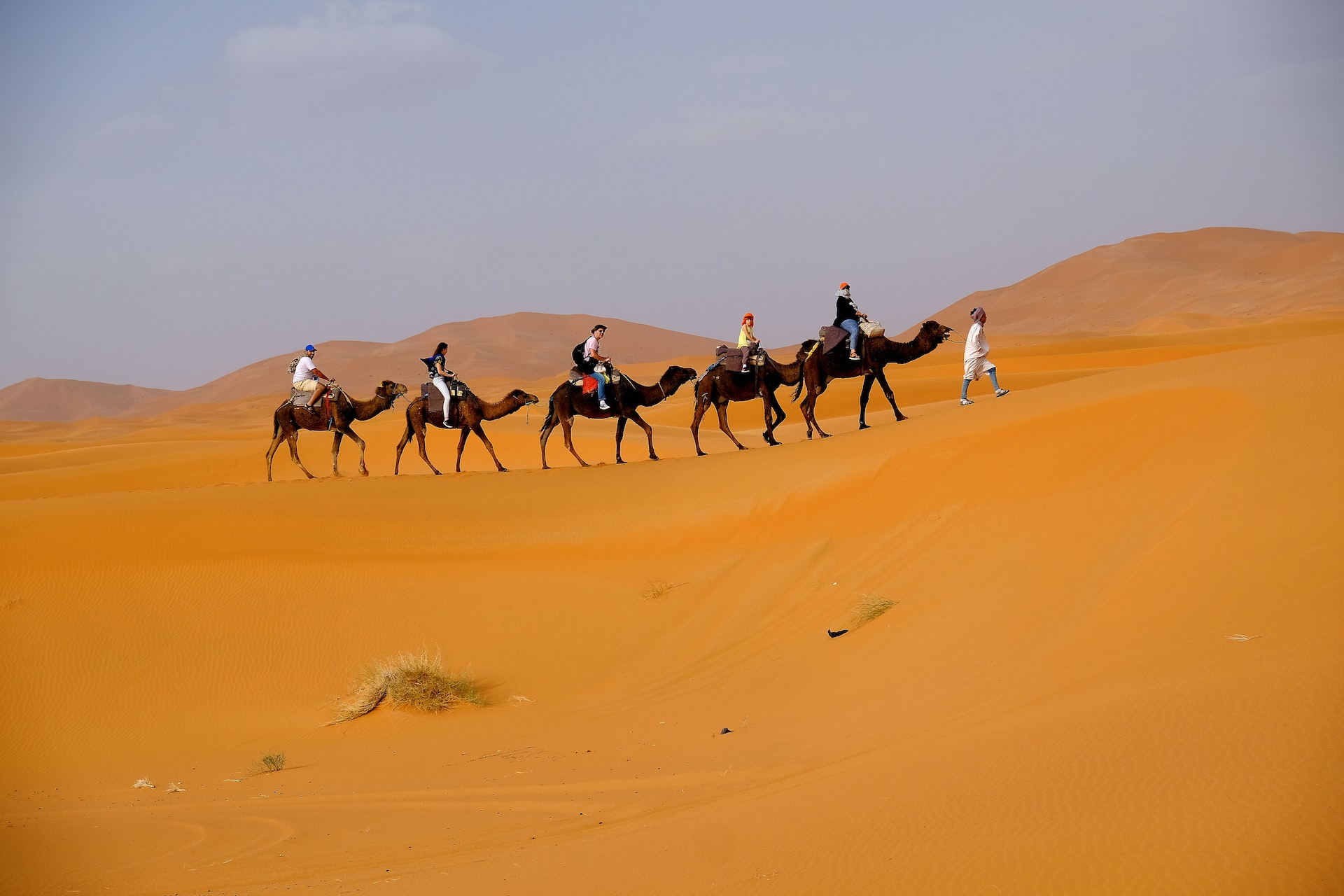 Western Sahara Tours and Holiday Packages